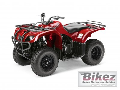 2011 Yamaha Big Bear 250 photo